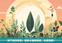 种下的月季花，怎样才能养得好，长得活呢？