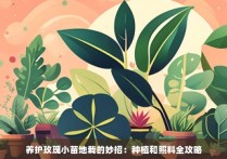 养护玫瑰小苗地栽的妙招：种植和照料全攻略