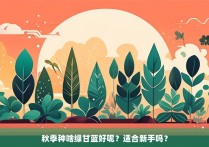 秋季种啥绿甘蓝好呢？适合新手吗？