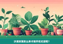 沙漠玫瑰怎么养才能开花烂漫呢？