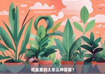 花盆里的土怎么种蒜苗？