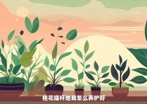 桂花插杆地栽怎么养护好