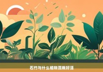 石竹与什么植物混栽好活