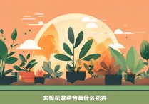 太极花盆适合栽什么花卉