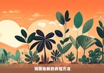 肾蕨地栽的养殖方法