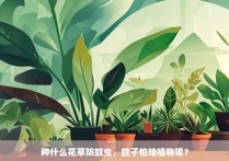 种什么花草防蚊虫，蚊子怕啥植物呢？