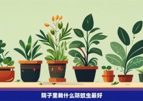 院子里栽什么防蚊虫最好