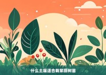 什么土壤适合栽紫薇树苗