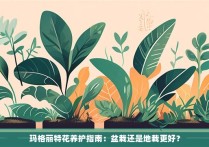 玛格丽特花养护指南：盆栽还是地栽更好？