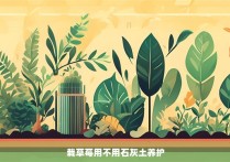 栽草莓用不用石灰土养护