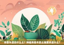 青香木适合什么土？种植青香木的土壤要求是什么？