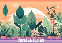 公园花坛松树怎么栽的好