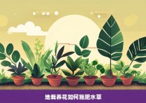 地栽养花如何施肥水草