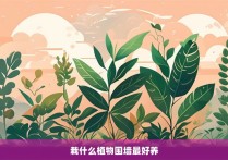 栽什么植物围墙最好养