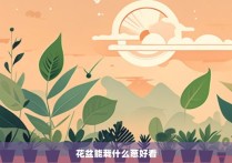 花盆能栽什么葱好看