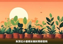 朱顶红小苗根长栽时用修剪吗