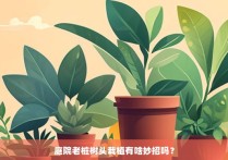 庭院老桩树头栽植有啥妙招吗？