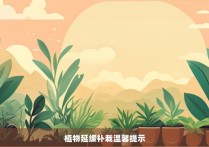 植物延缓补栽温馨提示