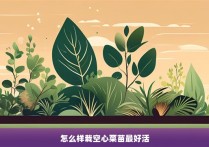 怎么样栽空心菜苗最好活