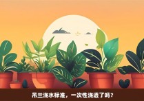 吊兰浇水标准，一次性浇透了吗？