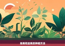 地栽和盆栽的种植方法