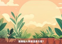 地栽仙人掌能活多久呢？