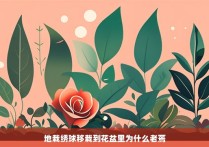 地栽绣球移栽到花盆里为什么老蔫