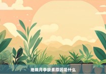 地栽月季缺素原因是什么