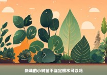 新栽的小树苗不浇定根水可以吗