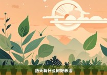 热天栽什么树好养活