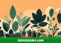 花园洋房适合栽什么树种