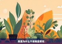 院里为什么不能栽韭菜花