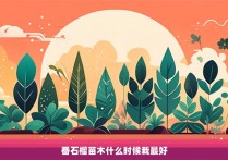 番石榴苗木什么时候栽最好