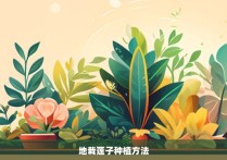 地栽莲子种植方法