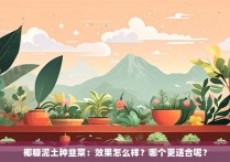 椰糠泥土种韭菜：效果怎么样？哪个更适合呢？