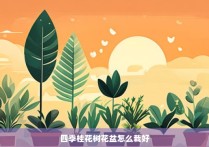 四季桂花树花盆怎么栽好