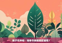 栀子花种植：啥季节栽植最旺盛呢？