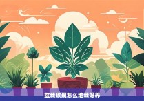 盆栽玫瑰怎么地栽好养