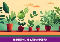 热带栽果树，什么果树好养活呢？