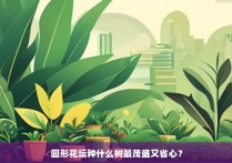 圆形花坛种什么树最茂盛又省心？