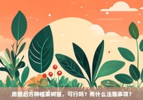 房屋后方种植果树苗，可行吗？有什么注意事项？