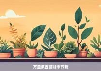 万里飘香藤啥季节栽