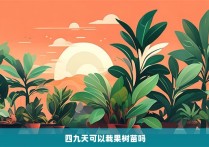 四九天可以栽果树苗吗