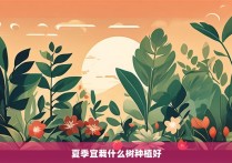 夏季宜栽什么树种植好