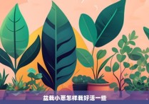 盆栽小葱怎样栽好活一些