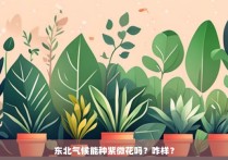 东北气候能种紫微花吗？咋样？