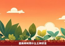 盘栽柿树用什么土种好活