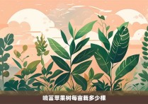 响富苹果树每亩栽多少棵