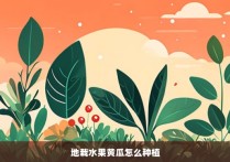 地栽水果黄瓜怎么种植