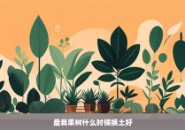 盘栽果树什么时候换土好